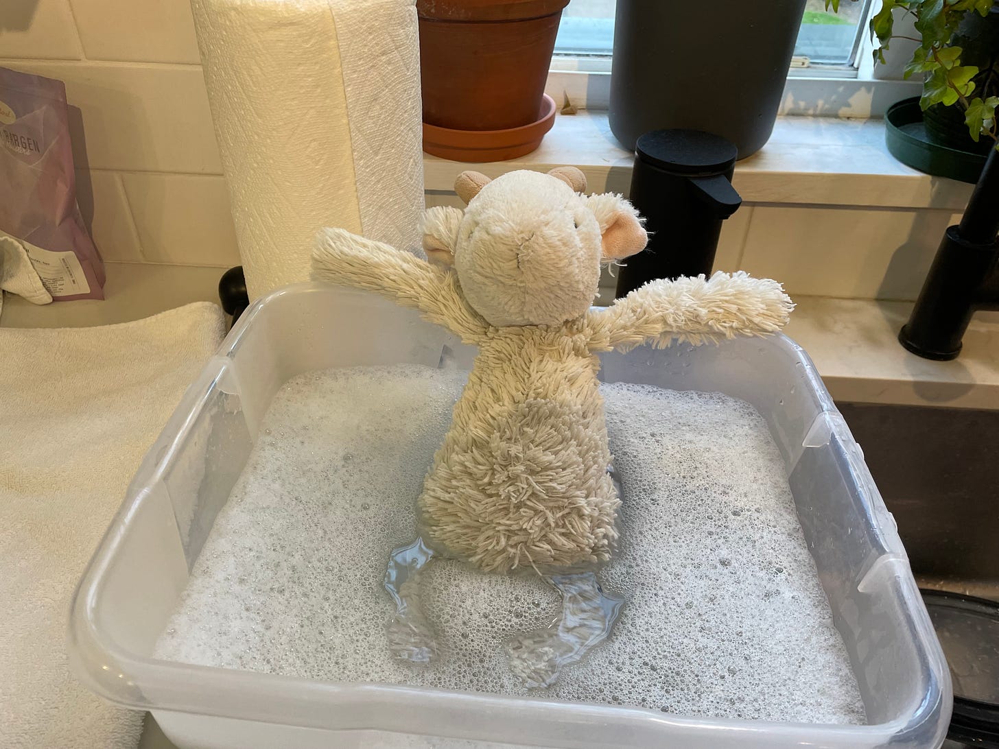 A stuffed white goat sits in a tupperware container of soap and water