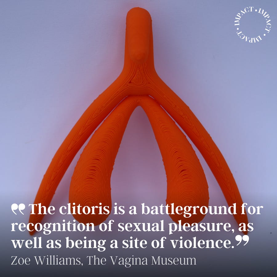 Image of a 3d-printed model of a clitoris wiht the text over the image: The clitoris is a battleground for the recognition of sexual pleasure, as well as being a site of violence