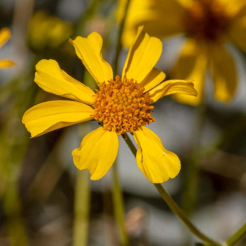 20250106-Marana-63-Edit 2.jpg