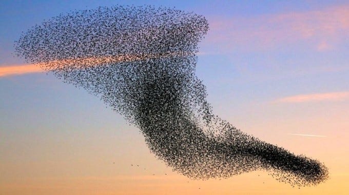 Swarm Intelligence: The Nature-Inspired Artificial Intelligence Which Uses  both Supervised and Unsupervised Learning