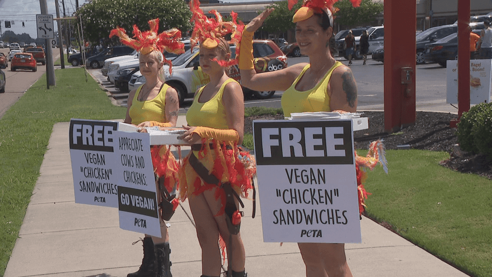 PETA protests Chick-fil-A's Cow Appreciation Day at Brainerd restaurant on  Tuesday | WTVC
