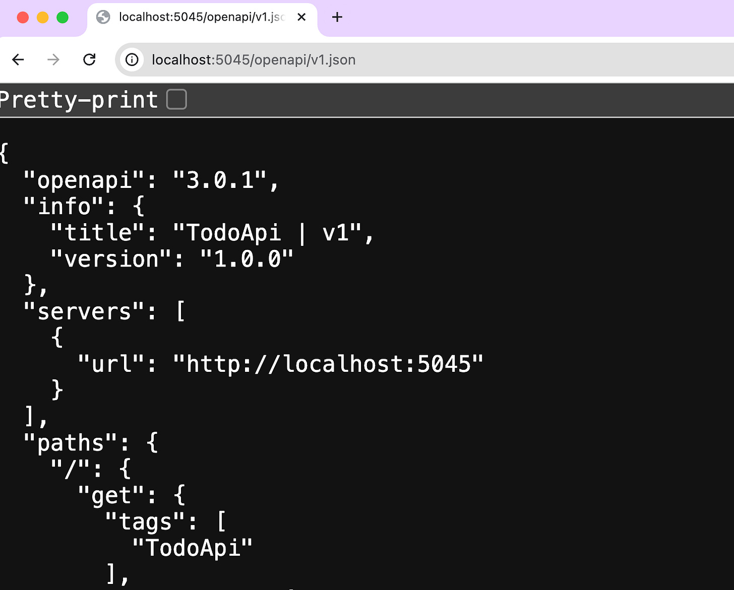 Dotnet 9 OpenAPI
