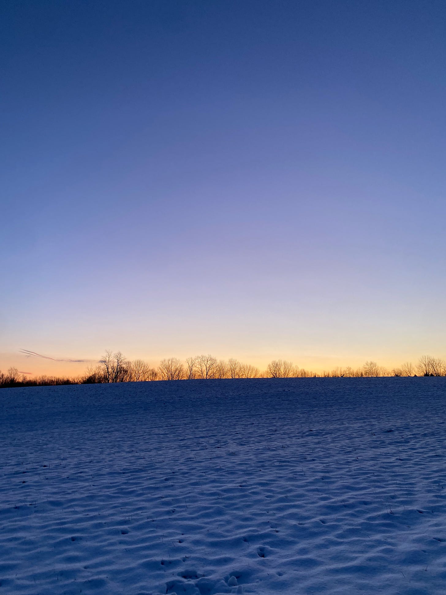 View of a snowy field before sunrise. The snow is deep blue. There’s a line of gold on the horizon that turns slowly into pale, then deep, dark blue.