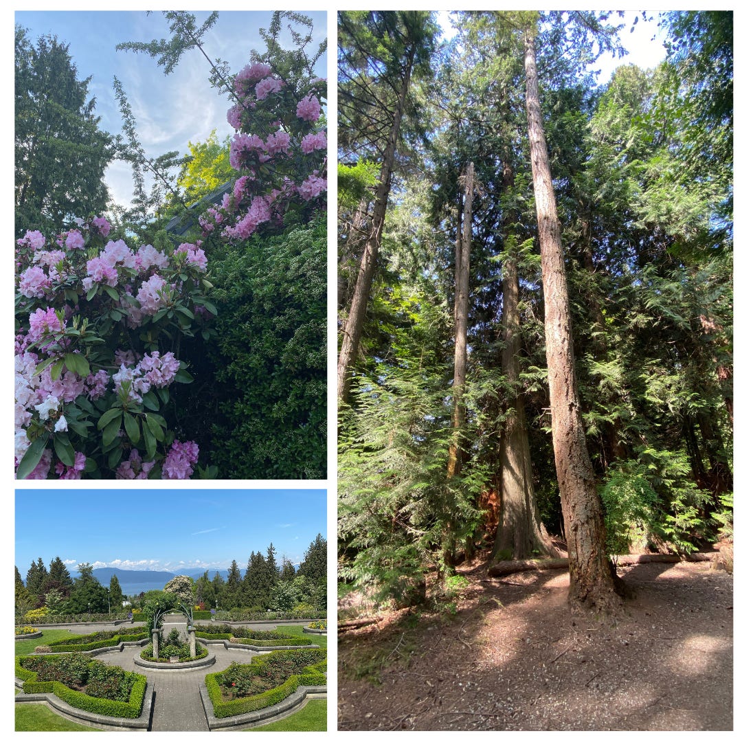 A photo collage of three images of scenic views of Vancouver, including flowers, forests, and gardens.