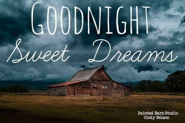 May be an image of text that says 'GOODNIGHT Sweet Dreams Painted Barn Studio Cindy Nelson'