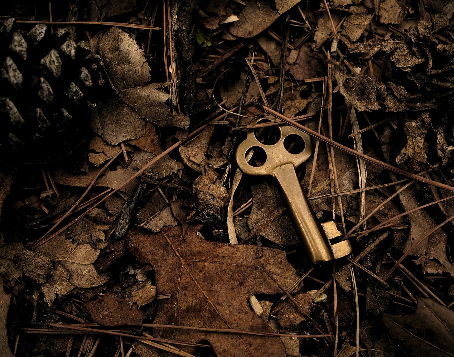 Key lying on leaves