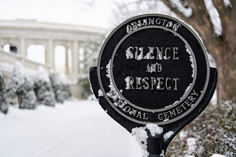 File:Snowfall at Arlington National Cemetery, Arlington, Virginia on January 19, 2024 - 9.jpg