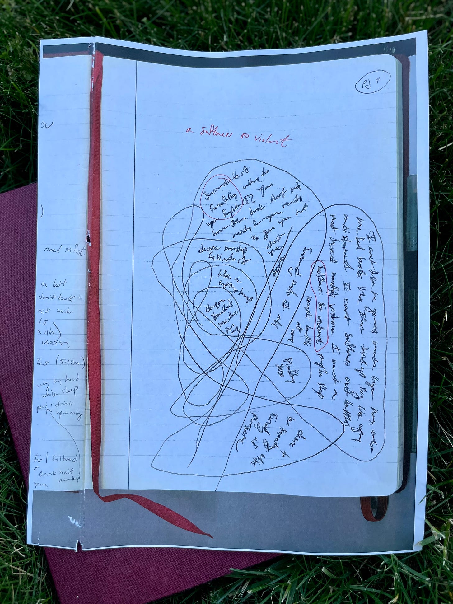 Photograph of a journal entry that features a loosely-drawn self portrait, featuring an abstract self created of lines, with scribbles of poetry inside all the empty spaces. Red text above the self-portrait reads, "a softness so violent."