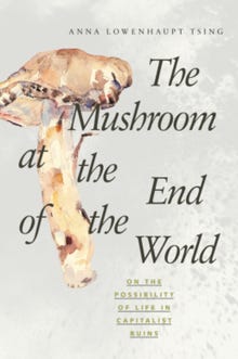 The Mushroom at the End of the World - Wikipedia