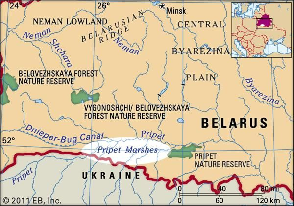 Pripet Marshes | region, Eastern Europe | Britannica.com