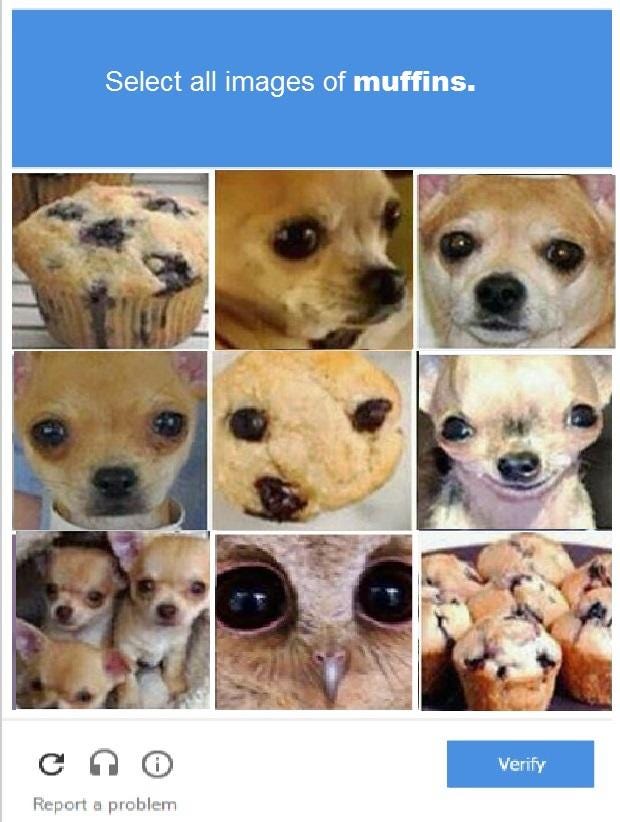 Chihuahua or muffin recapture meme