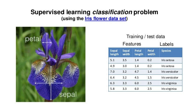 Exploration of Iris dataset using scikit learn Part 1 | by Jalal Mansoori |  Analytics Vidhya | Medium