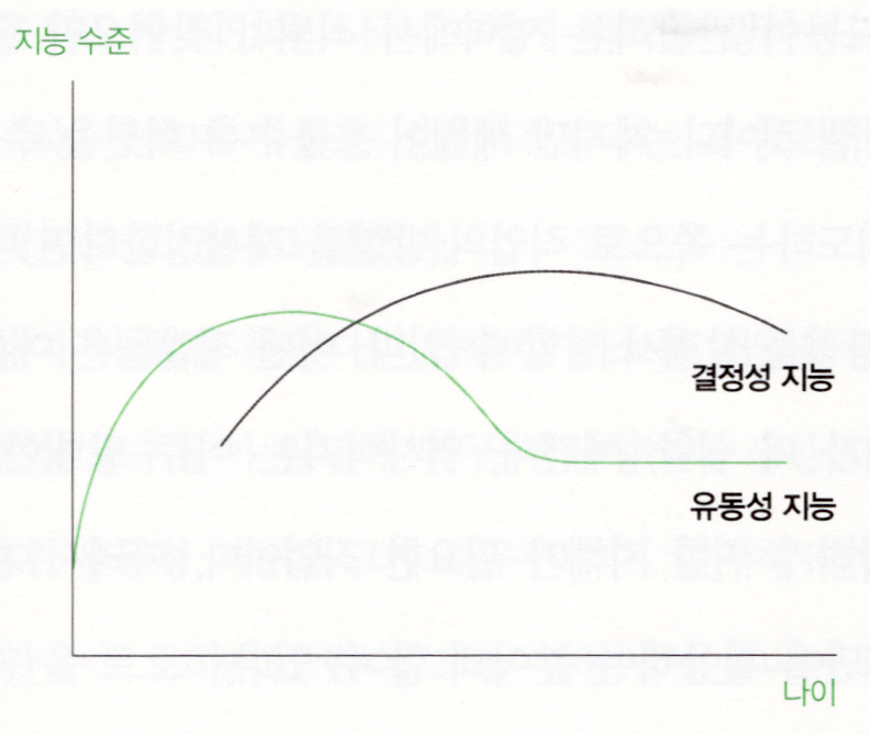 유동성 지능과 결정성 지능 곡선.jpg