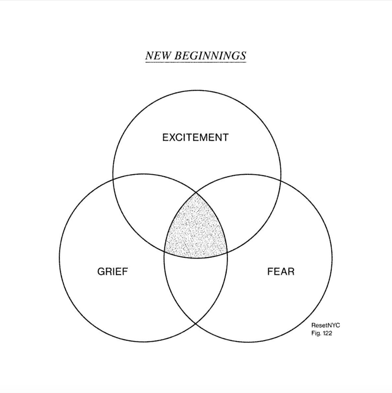 a triage venn diagram with the text above reading, "New Beginnings". The top circle has the text, "excitement" inside of it, the second circle in the bottom left has the text, "grief" inside of it, the third circle in the bottom right has the text, "fear" inside of it. This is an image from ResetNYC