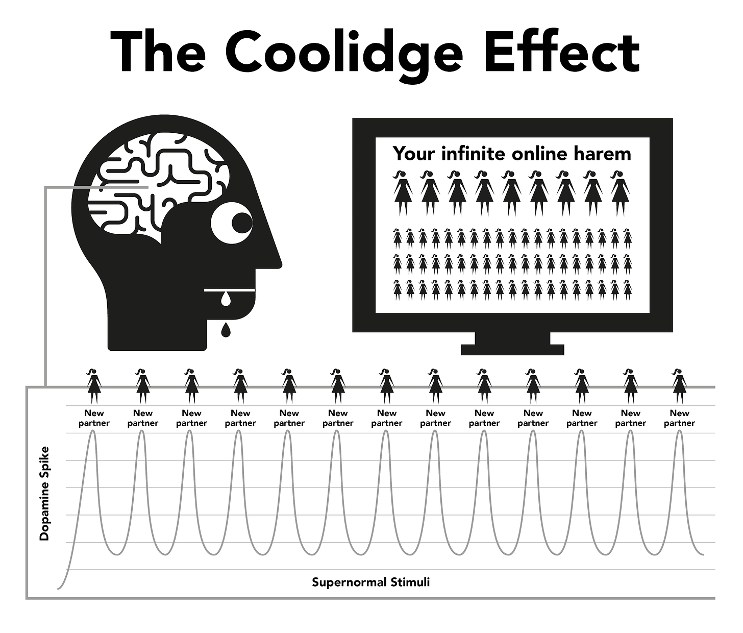 coolidge effect.png