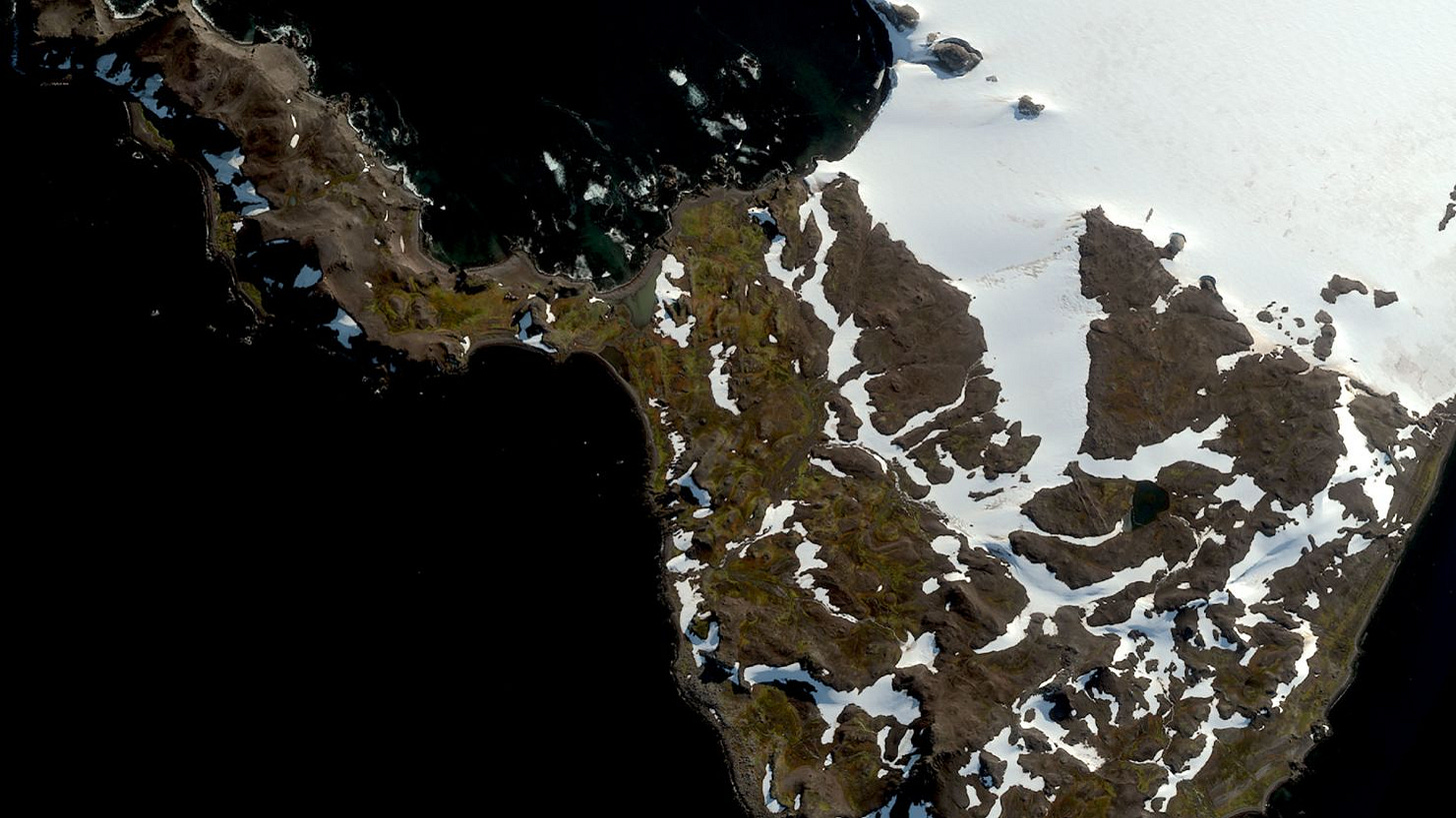 A satellite Image of Robert Island on the Antarctic Peninsula showing vegetation.