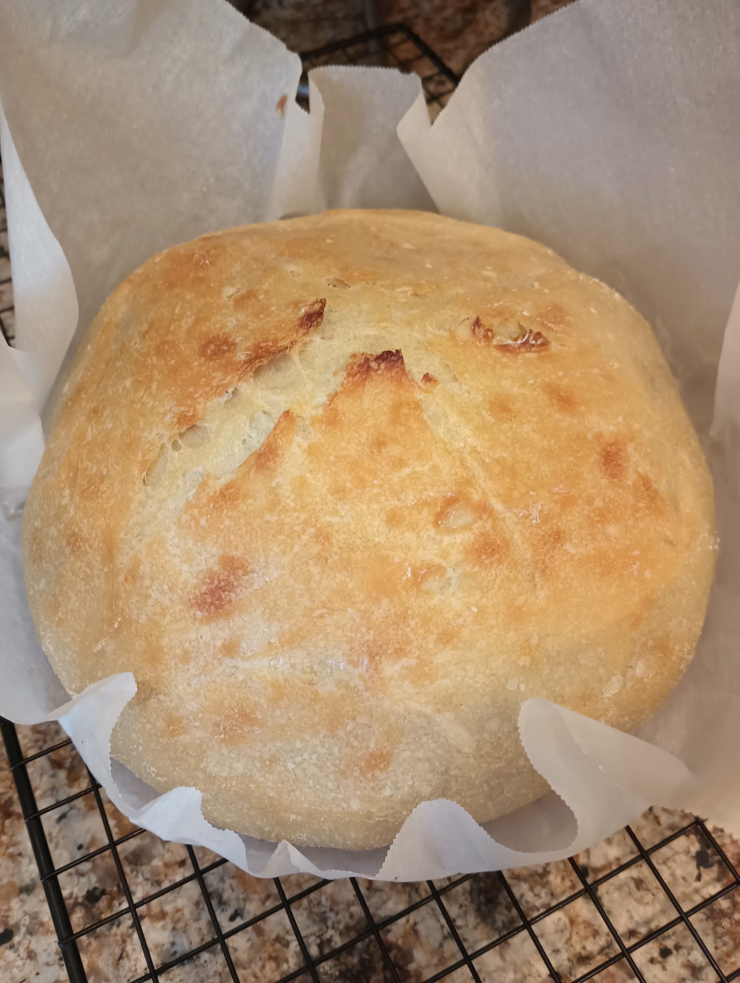 round sourdough bread.