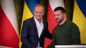 EU state to offer Ukraine cash for weapons loan – Zelensky