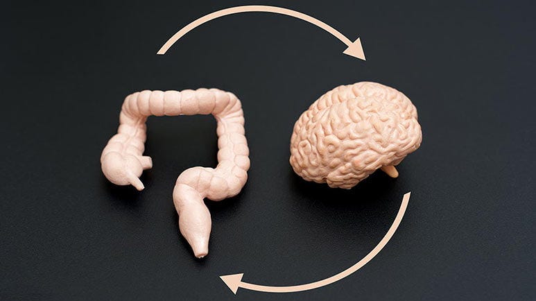 gut bacteria and mental health connection