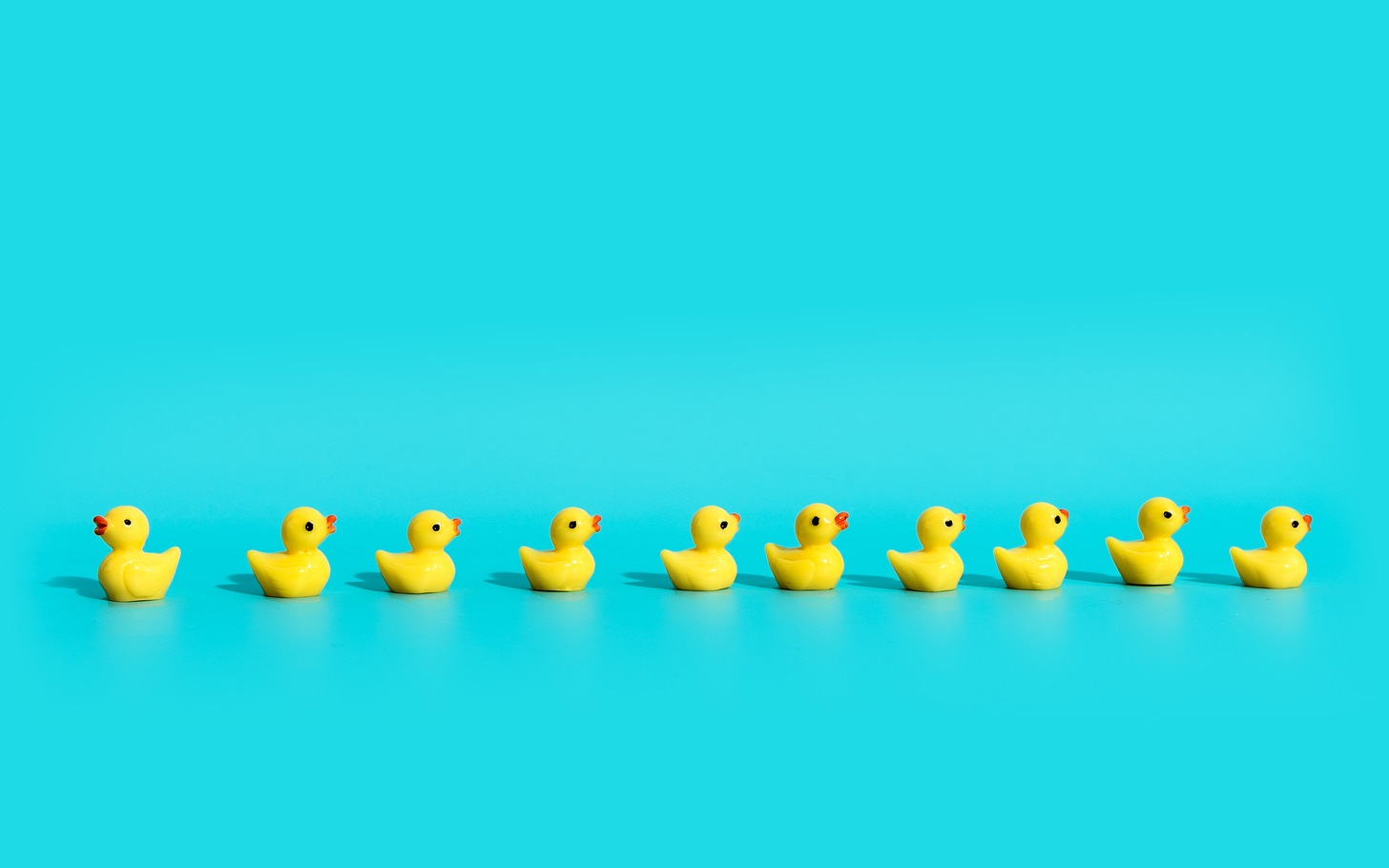 A row of yellow rubber duckies in a row, all facing the same direction ... except one