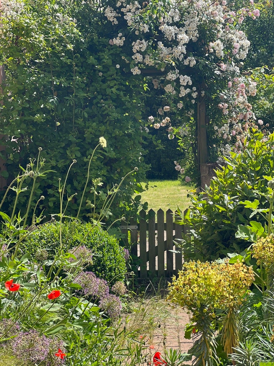 a garden gate with pink climbing roses over it