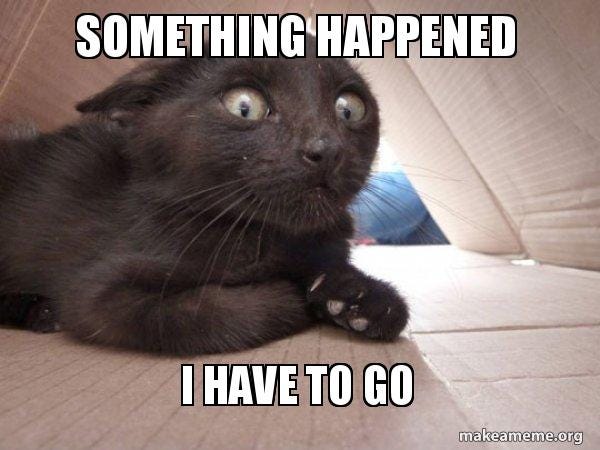 SOMETHING HAPPENED I HAVE TO GO - Schitzo Cat Meme Generator