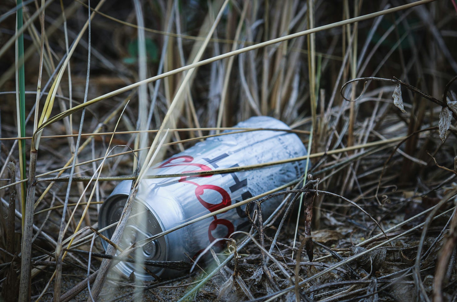 beer can lying in the marsh