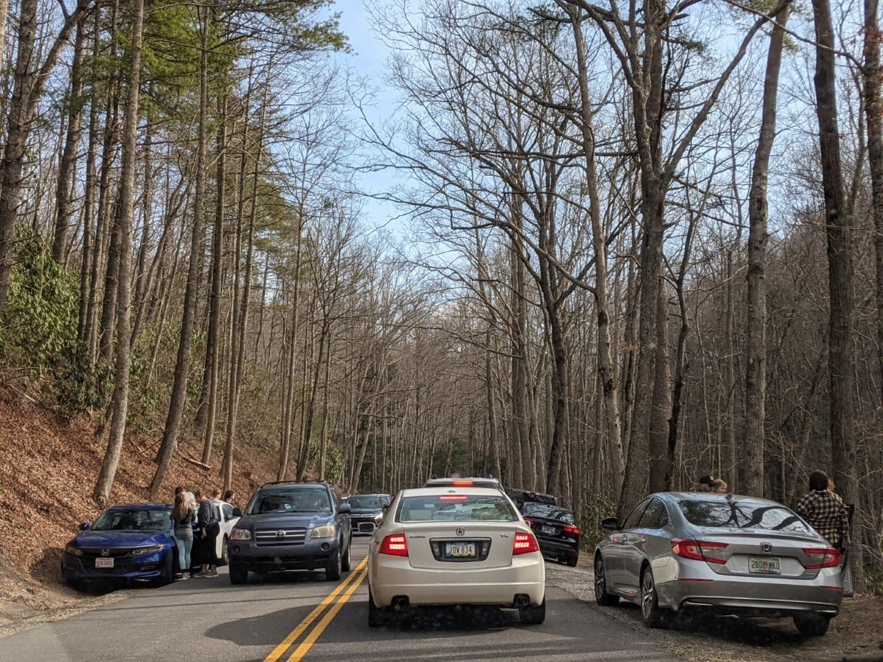 Shuttle service to Great Smoky Mountains National Park to be offered, NPS  officials say