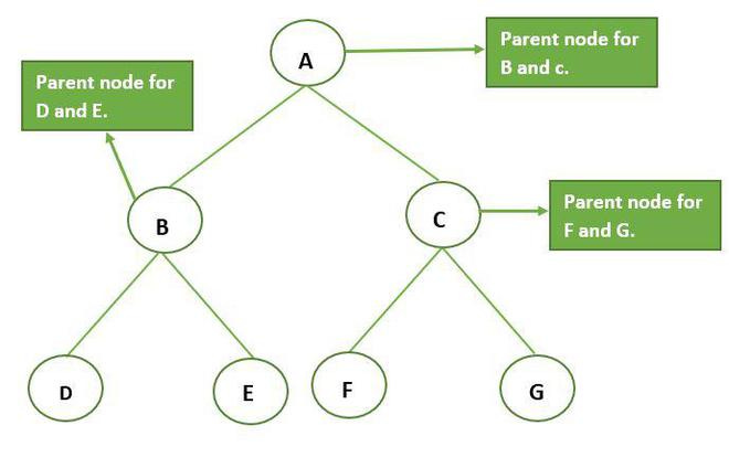 Parent nodes in a tree.