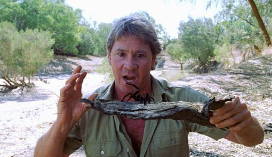 Steve Irwin holding a spider in The Crocodile Hunter: Collision Course.