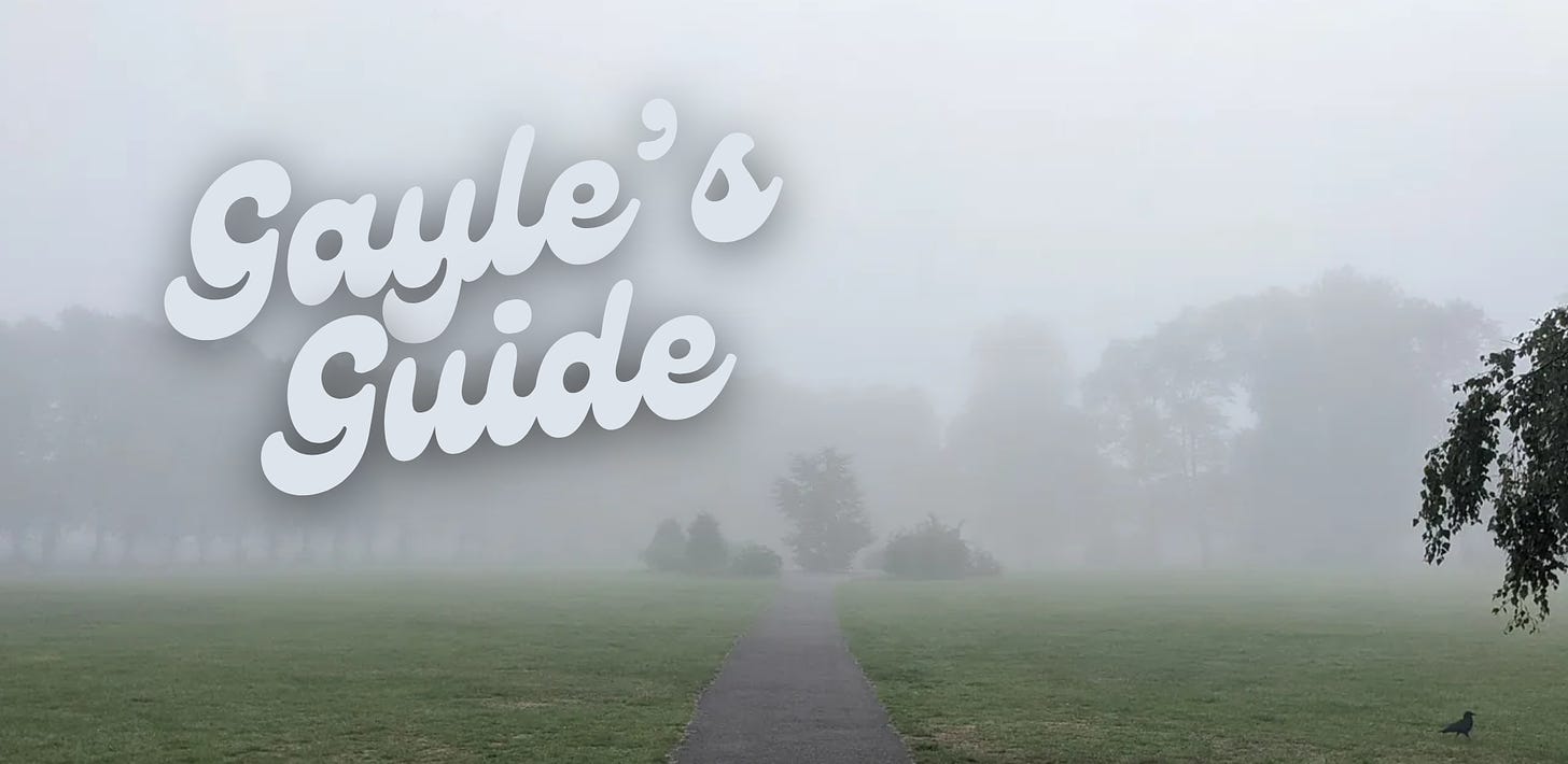 Mist in Harrison Park with Gayle's Guide logo