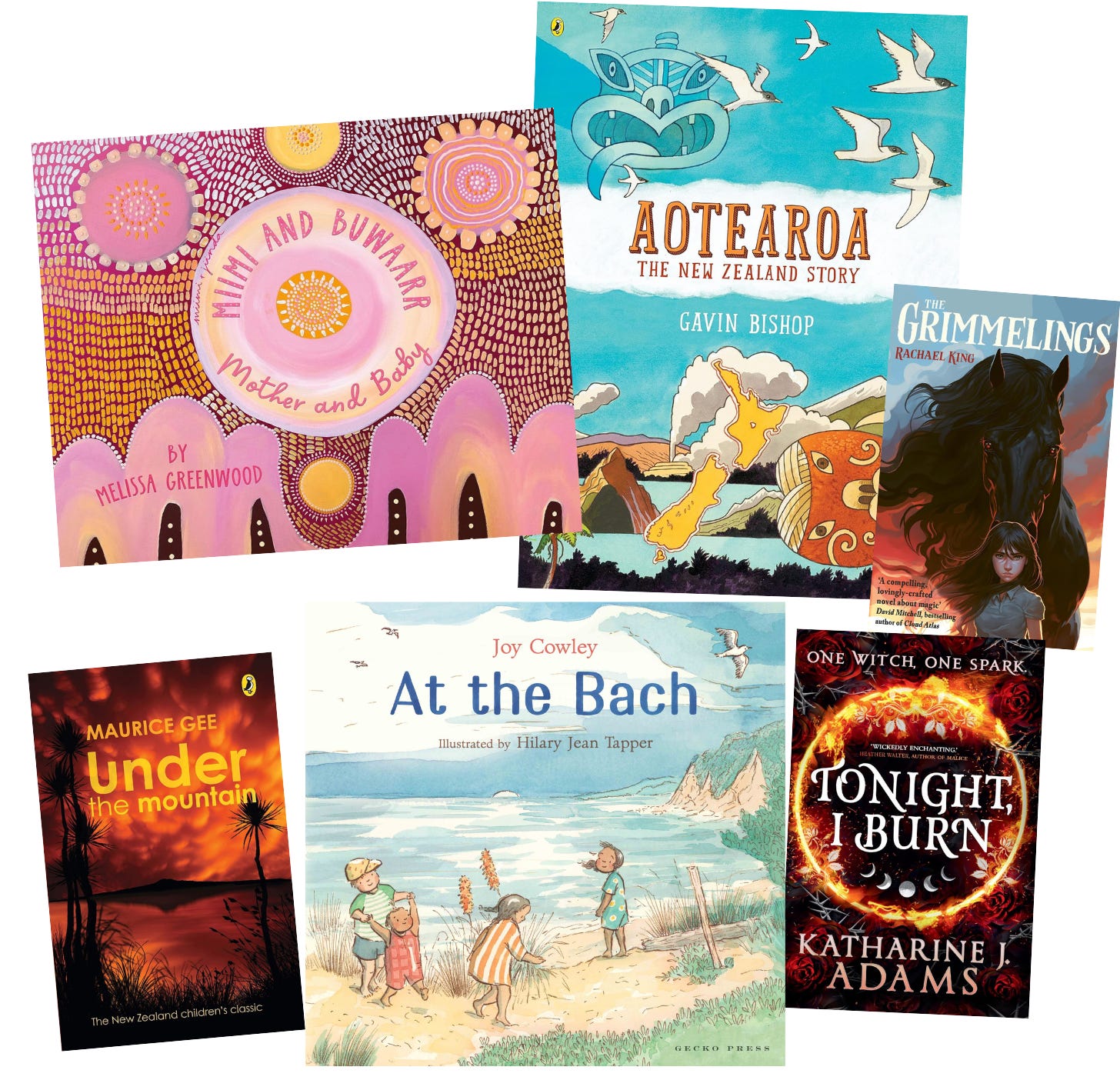 A selection of books for children from picture books to young adult novels published in New Zealand and Australia