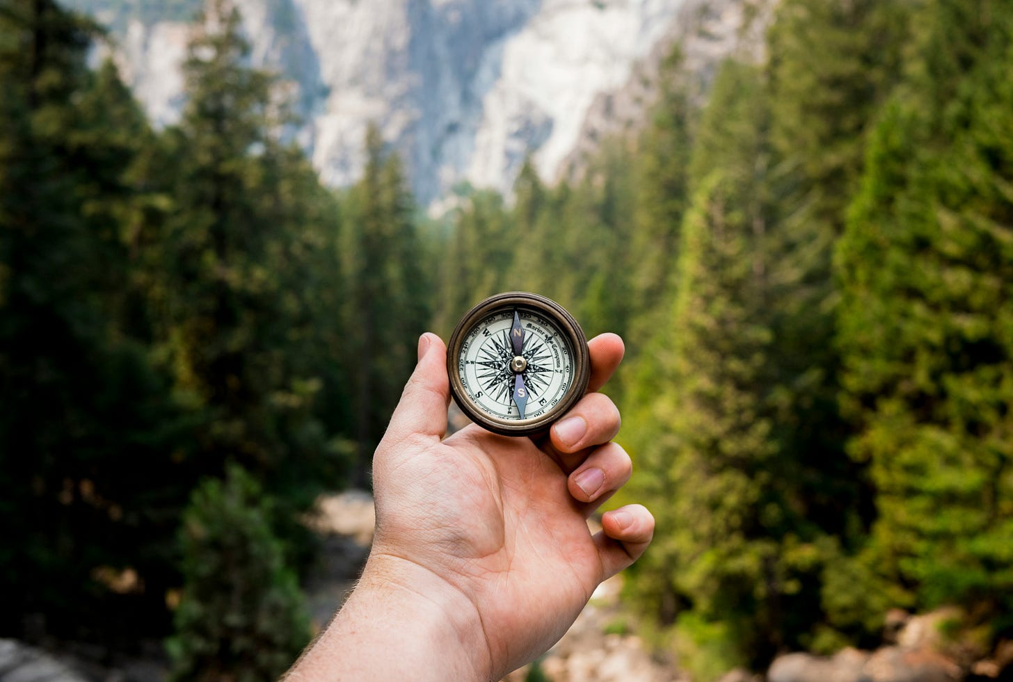 Hand holding a compass against a background of evergreen trees and mountains