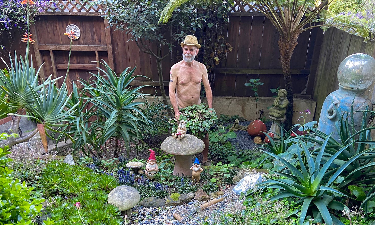 Nudist Andy Tabbat naked in his garden surrounded by garden gnomes.  Not for the first time, I find myself asking, ‘What would Andy do?’