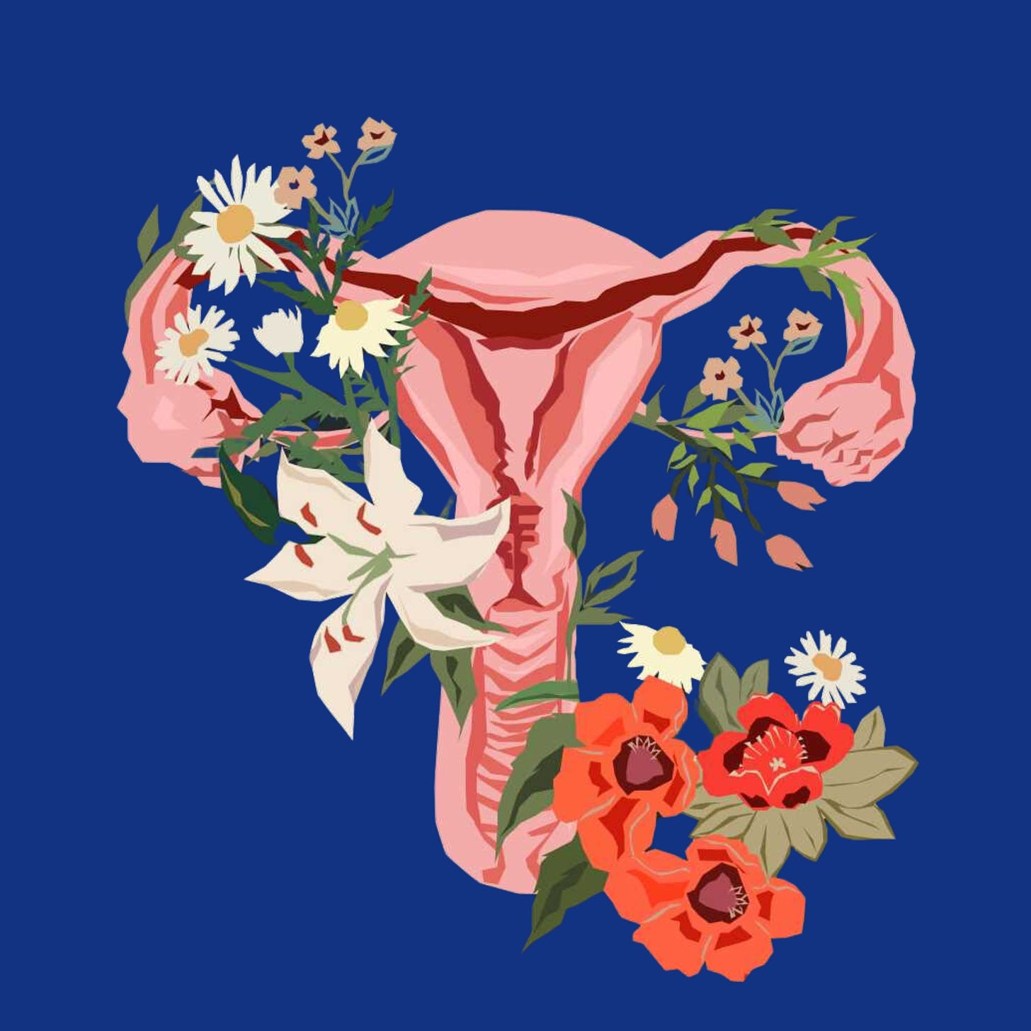 Image of female reproductive system on blue background with flowers around it