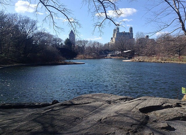 Rock, then water. New York is behind, screened by trees