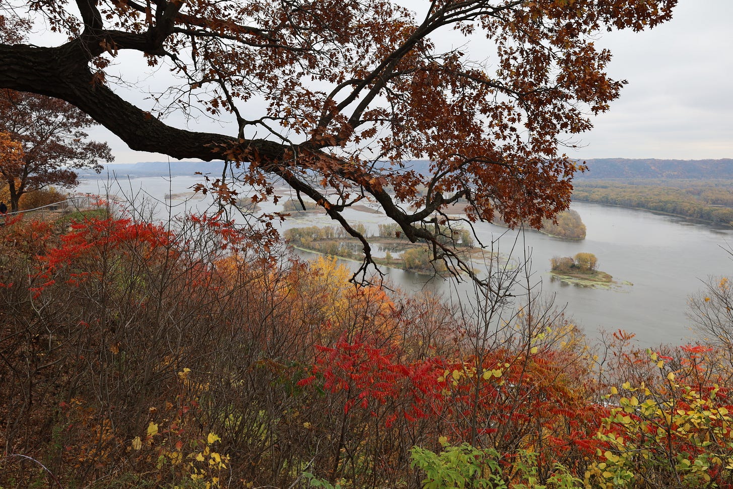 Mississippi River by Lansing