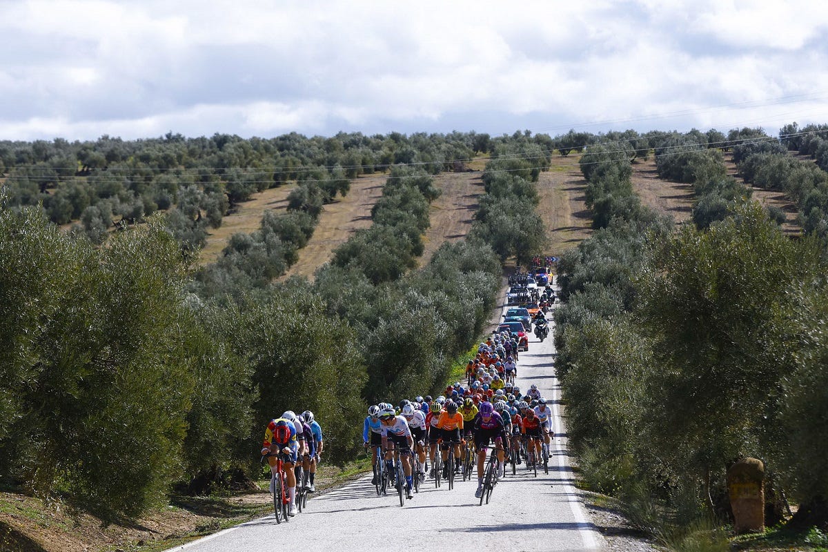 Clásica Jaén Paraíso Interior 2025, la startlist provvisoria -  SpazioCiclismo