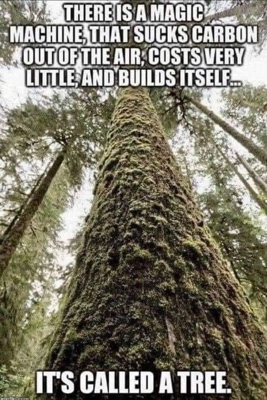 May be an image of tree, outdoors and text that says 'THERE IS A MAGIC MACHINE, THAT SUCKS CARBON OUTOF THE AIR, COSTS VERY LITTLE AND BUILDS ITSELF... IT'S CALLED A TREE.'