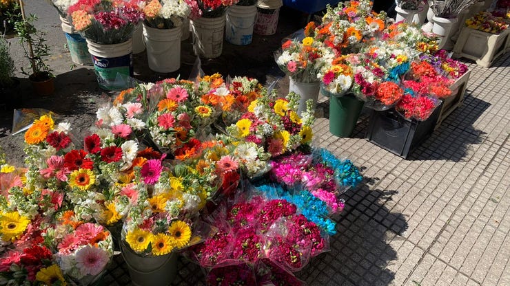 La calle de las flores, un sueño hecho realidad 