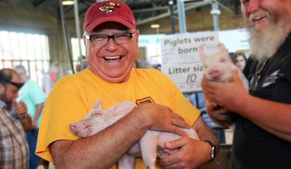 Tim Walz at the state fair, beaming with joy, as he holds a brand new lil baby piglet, who looks completely blissed-out/ asleep.