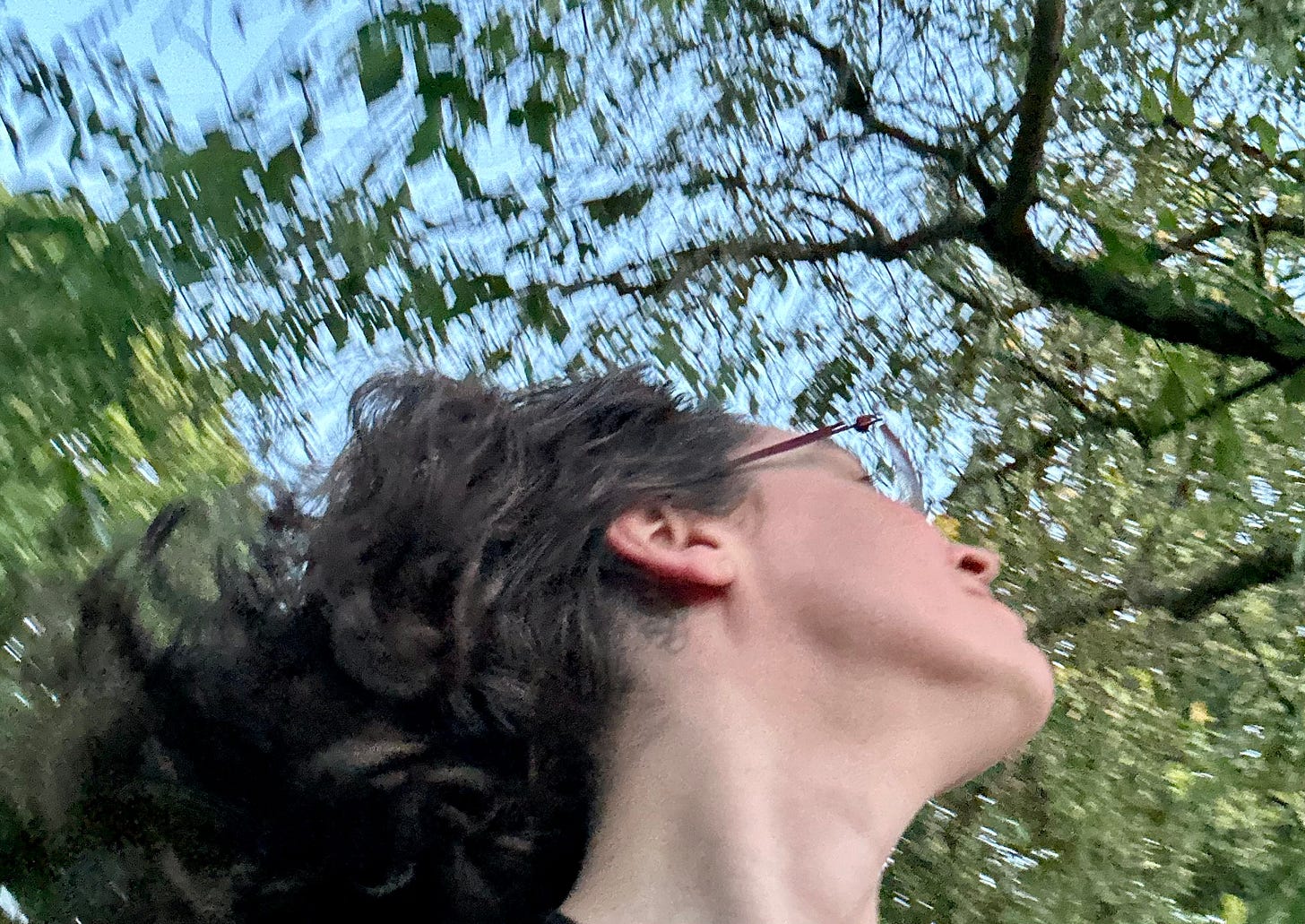 a photo in motion: angled up towards Chloe, the right side of her neck and jaw and slight glimpse of her nose, mouth, eye, her brown curls a blur. above and behind her, motion-blurred green leaves against a pale blue sky, black silhouette of branches