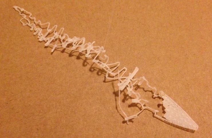 Transporter accident – A 3D print that has failed, creating a tangled mess of plastic where your object was supposed to be.