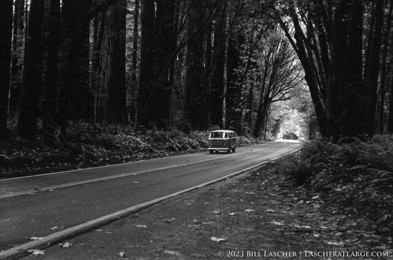 A black-and-white photo of a Volkswagen "Bus" style van driving on one side of a two-lane highway beneath a dense canopy of trees. Leaves ar estrewn on either side of the highway, which appears to darken as the road travels from right to left.