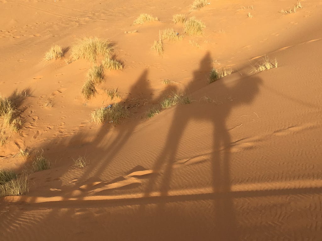 Shadow of camelriders in the desert