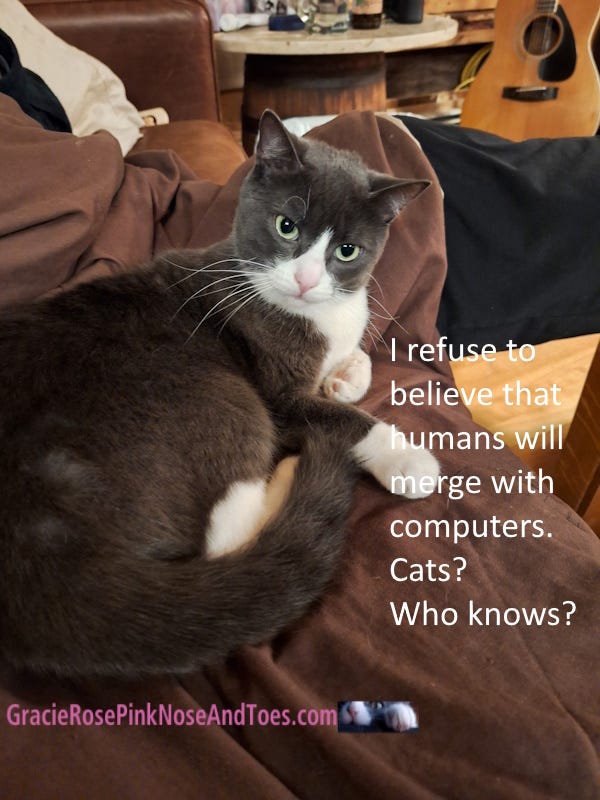 An image of my cat Gracie Rose looking unimpressed with the meme caption: I refuse to believe humans will merge with computers. Cats? Who knows?