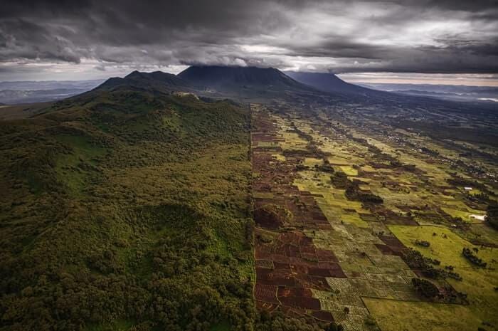 Parque Nacional de los Volcanes, en Ruanda
