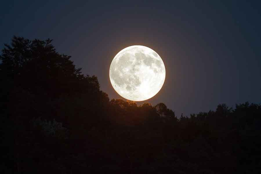 full moon rising over trees