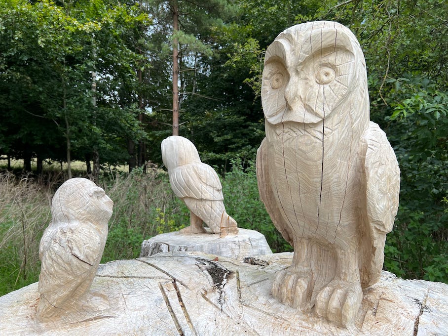 Photo by Author — Owls when out on a walk