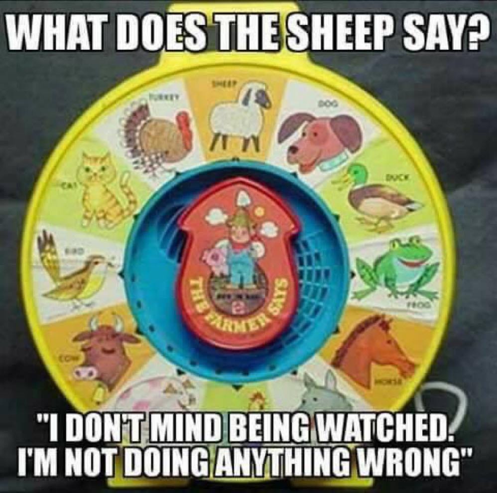 May be an image of text that says 'WHAT DOES THE SHEEP SAY? ĐỘG BOCE T THE FARMER SAVS "I DON'T MIND BEING WATCHED. I'M NOT DOING ANYTHING WRONG"'